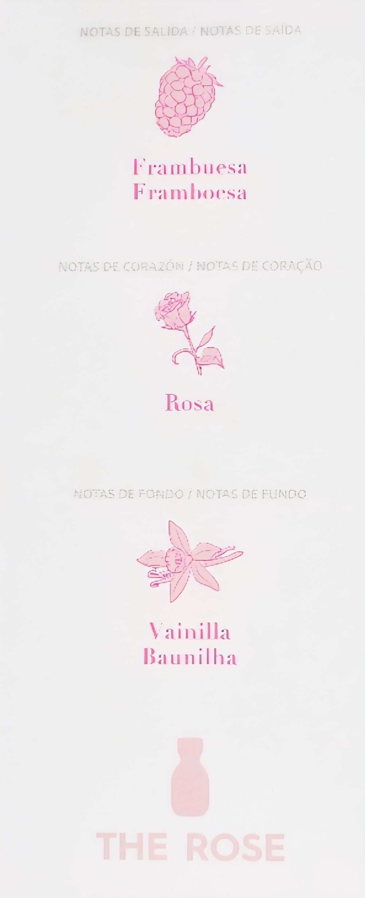 Parfum THE ROSE
