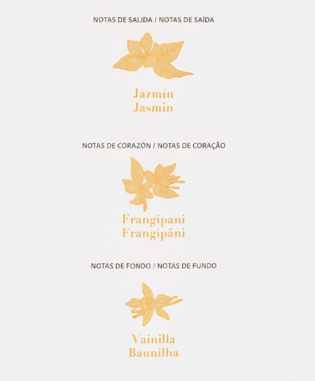Parfum GOLD